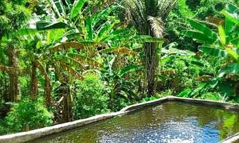 Imagem 5: Lote 27.900m2 com 2 ( duas), piscinas naturais abastecimento nascentes, aberto propostas