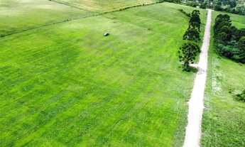 Imagem 2: Imóvel para venda tem 21257 metros quadrados em São Luiz do Purunã - Balsa Nova - PR