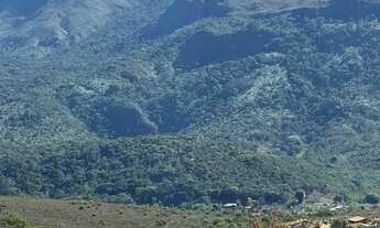 Imagem 6: Poucos terrenos, muita procura Rota do Vinho