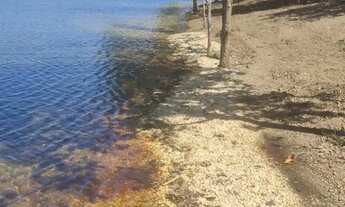 Imagem: Chácara beira lago, sentindo Lageado c