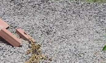 Imagem 2: EXCELENTE TERRENO ( CONDOMINIO VIVERDE 1