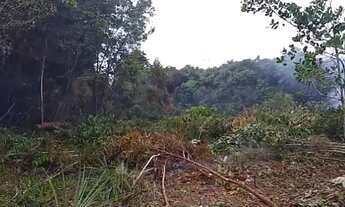 Imagem 3: Vendo terreno zona Rural, Novo Airão, no ramal Vale Dourado, comunidade Bom Jesus