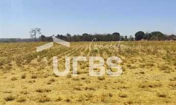 Imagem 2: 0 - Chácara - SETOR PONTA KAYANA