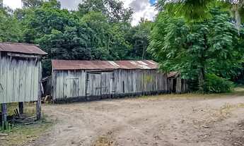 Imagem 3: Propriedade com 20Ha com 4,5Ha com pessegueiros e casa centenária na Cascata