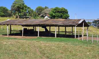 Imagem 6: Sitio 15 alqueires para Pecuária - Piracicaba - SP