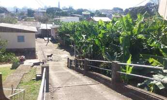 Imagem 6: PORTO ALEGRE - Terreno Padrão - Vila João Pessoa