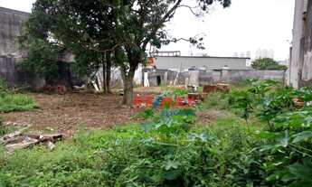 Imagem 5: Terreno à venda, 800 m² por R$ 1.350.000,00 - Vila Moraes - São Paulo/SP