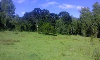 Imagem 5: VENDE-SE SÍTIO 60 HECTARES