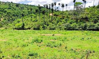 Imagem 4: Vende -se sitio/chácara de 20.000m² no Empreendimento Terra Dourada