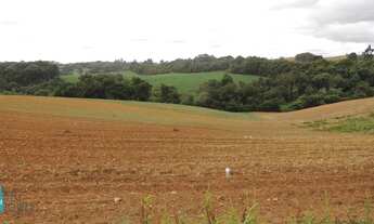 Imagem 4: TERRENO CONTENDA - TE392