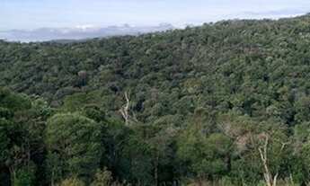 Imagem 2: Vendo Terreno em Rancho Queimado Aceito carro