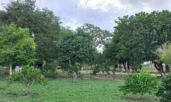 Imagem 7: Sitio a venda em Itapina