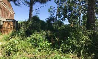 Imagem: Lote/Terreno para venda tem 250 metros quadrados