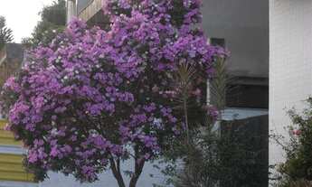 Imagem: Apartamento residencial à venda, Taumaturgo