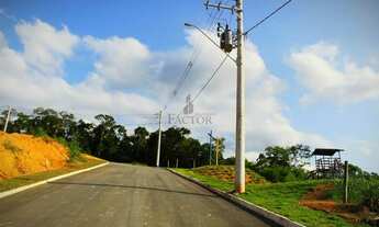 Imagem 6: Lotes em Testo Central/Pomerode