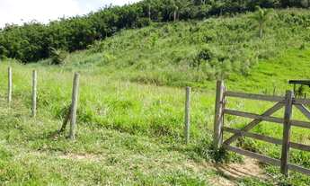 Imagem 4: Vendo Sítio na Estrada de Piacatuba/Leopoldina