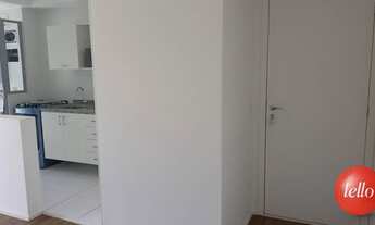 Imagem 6: São Paulo - Apartamento Padrão - Jabaquara