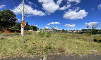 Imagem 2: Vendas Terreno Pato Branco PR
