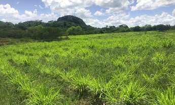 Imagem 15: Vendo fazenda Fazenda / sítio com venda por R$3.200.000