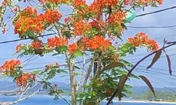 Imagem: Terreno vista mar 300m2 Praia de Gâmboa