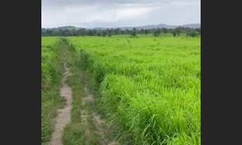 Imagem 4: Vende se terra cel