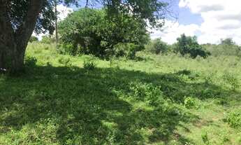 Imagem 12: Vendo fazenda Fazenda / sítio com venda por R$3.200.000