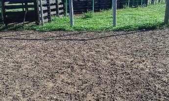 Imagem: São João D x27 Áliança - GO