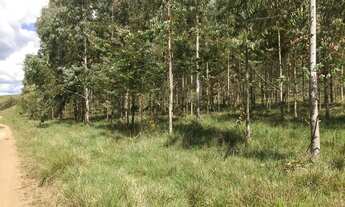 Imagem 7: VENDO ÁREA DE TERRA COM 41,5 HECTARES EM JAQUIRANA