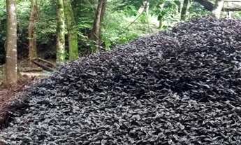 Imagem 5: Terreno à venda com 6.600 m² em Cabeça Quebrada, Guarapari-ES