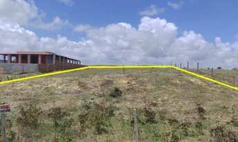 Imagem 3: Vista Mar e Praia, grande terreno de 1.440 m2, próximo a arvore do amor