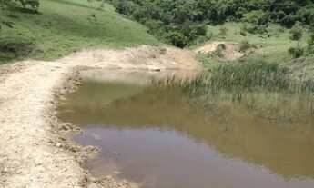 Imagem 7: Excelente fazenda com 127 hectares, na estrada de Belmiro Braga - Minas Gerais