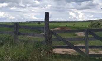 Imagem 5: Créditos Agro: Sítios e Fazendas para o Seu Negócio Crescer!