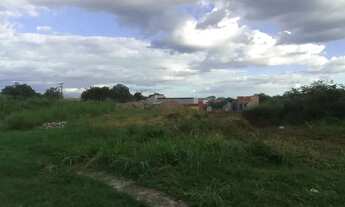 Imagem: VENDO TERRENO (PIRIPIRI-PI