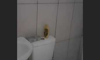 Imagem 5: Aluga-se casa em Paratibe