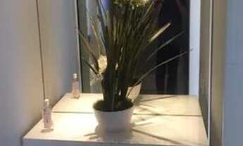 Imagem 6: Lindo Apartamento para locação, Morumbi Panamby, Ótima localização