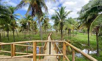 Imagem 10: Ville Al Mare Terreno / lote com venda por R$349.166