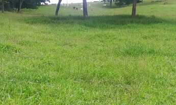 Imagem 6: Vende-se chácara de 06 alqueires em Itauçu-Go