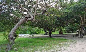 Imagem: Sítio com casa em Macaiba-RN