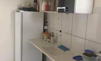 Imagem 7: Alpha Class -Aruanã !