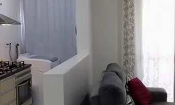 Imagem 5: PALHOçA - Padrão - Aririú da Formiga