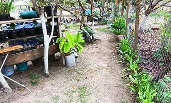 Imagem 5: Linda Chácara dentro da cidade