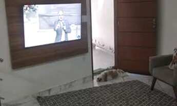 Imagem 7: Duplex 3q, Excelente localizaçao no Cidade Nova em GV