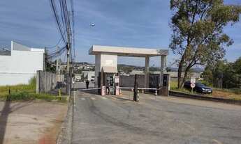 Imagem: Macuco à venda em Valinhos