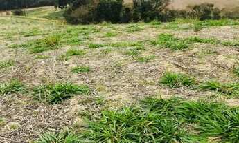 Imagem 5: Vendio meu terreno em Atibaia