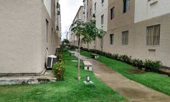 Imagem: Repasse em Barra de Jangada - Térreo