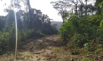 Imagem 6: Uma nova oportunidade para uma nova vida