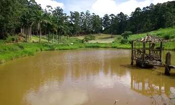 Imagem 2: Venda-se está propriedade de 30 alqueires no Município de Guaçuí/ES