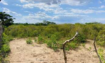 Imagem 6: VENDO 56 TAREFAS NO DISTRITO DE MATINHA