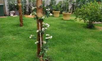 Imagem 5: Casa com 3 suítes à venda, 206 m² por R$ 1.485.000 - Loteamento Terras de Florença - Ribei