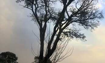 Imagem 3: Vendio meu terreno em Atibaia